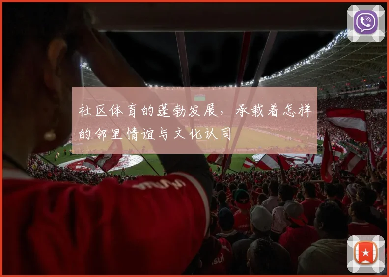 社区体育的蓬勃发展,承载着怎样的邻里情谊与文化认同