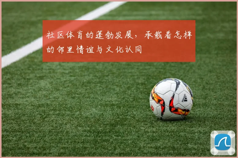 社区体育的蓬勃发展,承载着怎样的邻里情谊与文化认同